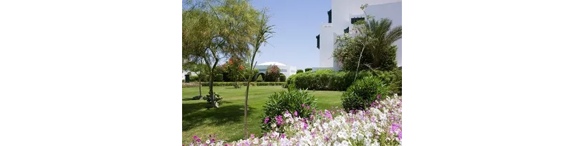 Mercure Hurghada Hotel 4*-99