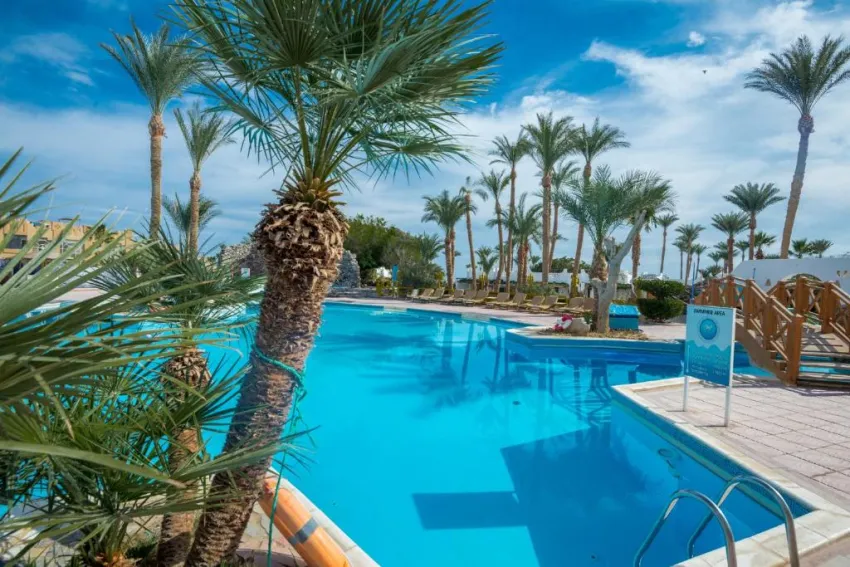 SHAMS SAFAGA RESORT  3*-15