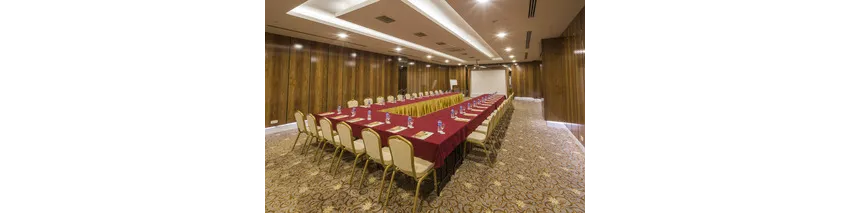 Hotel Turan Prince 5*-61