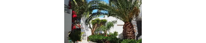 Kyknos Beach Hotel and Bungalows 4*-91