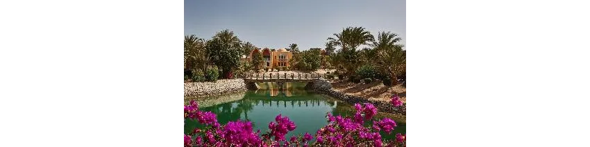 Sheraton Miramar Resort (El Gouna) 5*-144