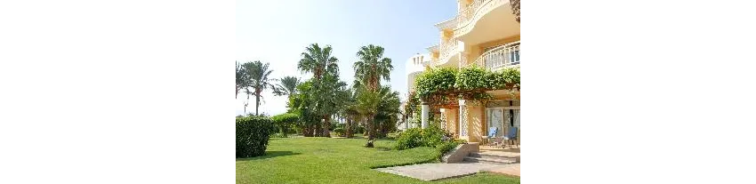 Palm Royale Resort - Soma Bay 5*-202