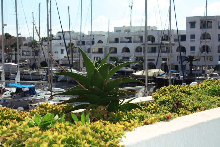 Marina Cap Monastir - appart hotel 3*-34