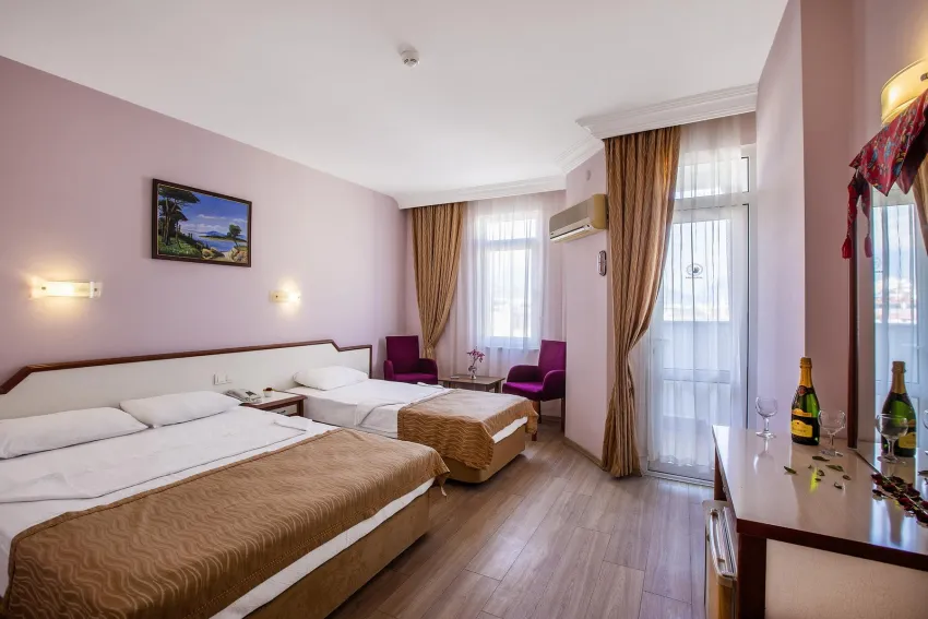 Ergun Hotel 3*-4