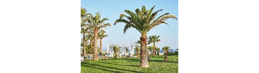 Grecotel Creta Palace 5*-18