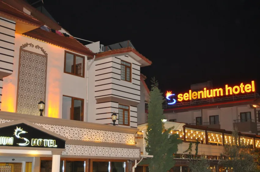 Selenium Hotel 4*-3