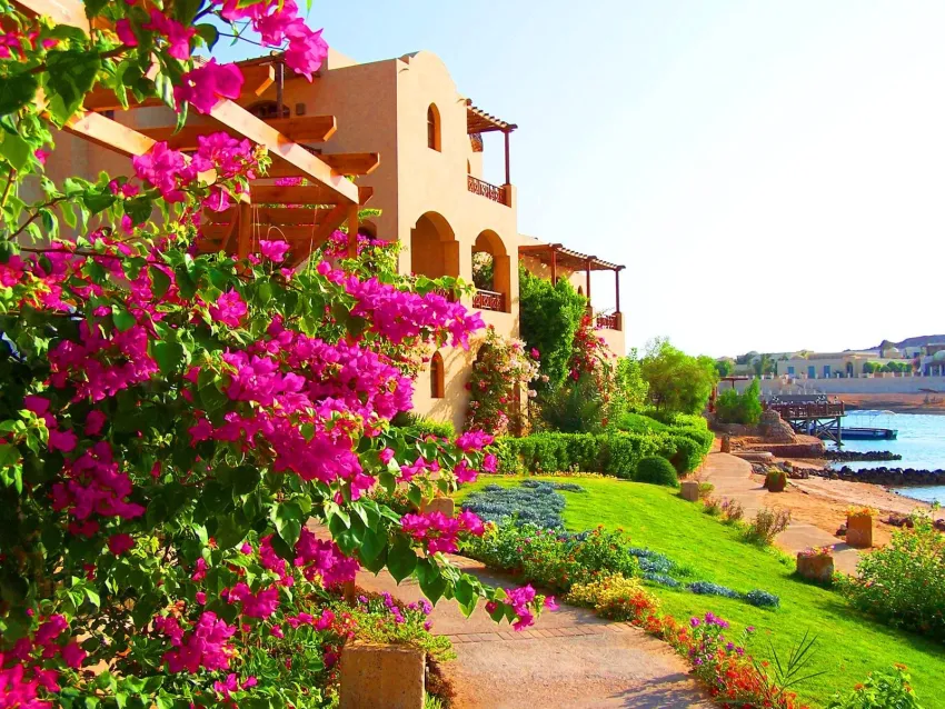 Sultan Bey Hotel El Gouna 4*-17