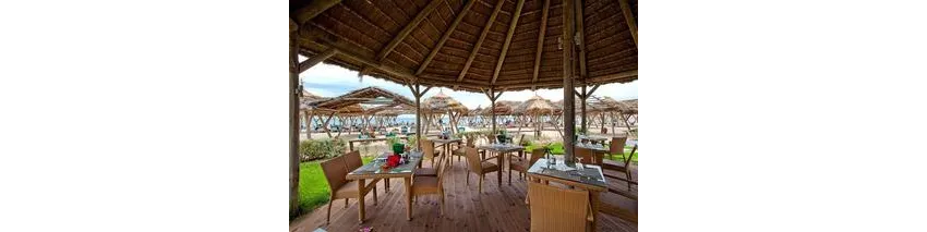 The Orangers Beach Resort & Bungalow 4*-20