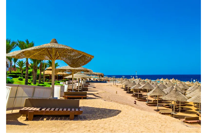 SERENITY ALPHA BEACH (EX SERENITY MAKADI BEACH)  5*-31