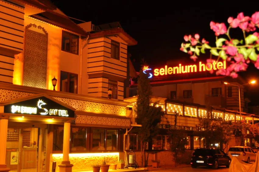 SELENIUM HOTEL  3*-1