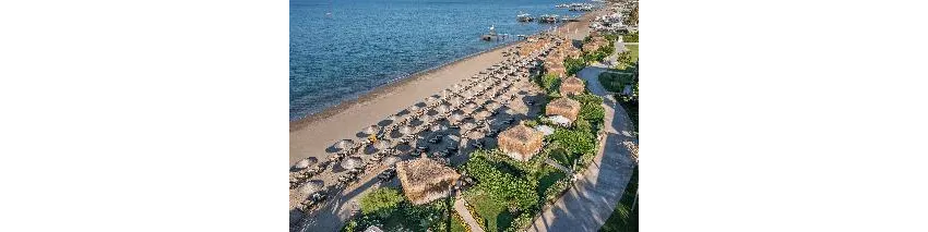 Ela Excellence Resort Belek 5*-539