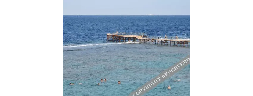 SuneoClub Reef Marsa 4*-2