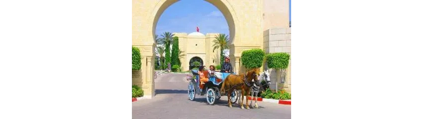 Mahdia Palace Thalasso 5*-21